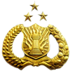 POLRI POLRI