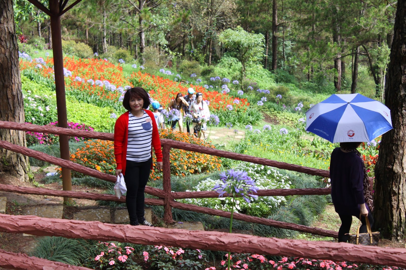 review Du lịch Đà lạt tháng 8/2014 rẻ, vui ;) - 9