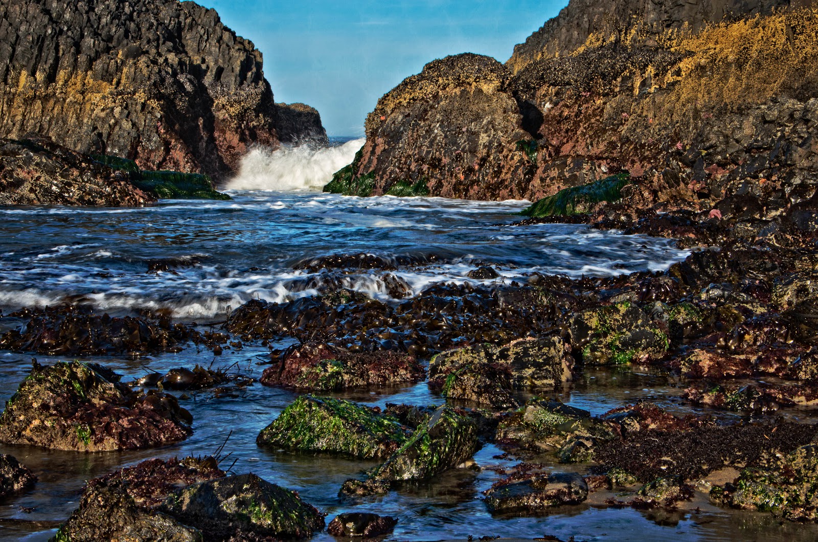 Thom Zehrfeld Photography Seal Rock Oregon