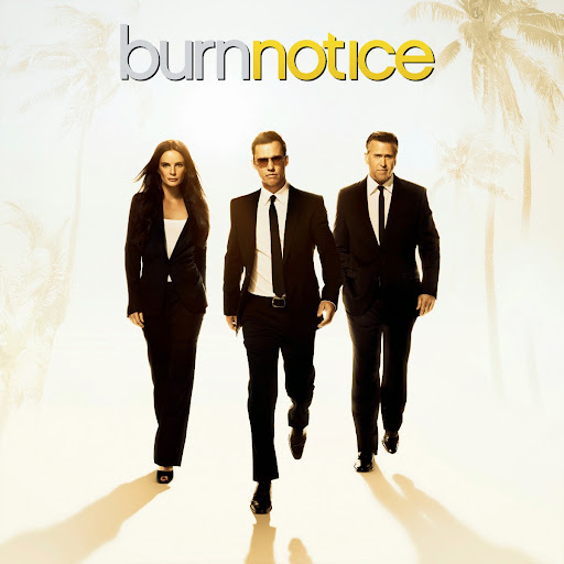 Kẻ Thù Giấu Mặt 6 - Burn Notice 6