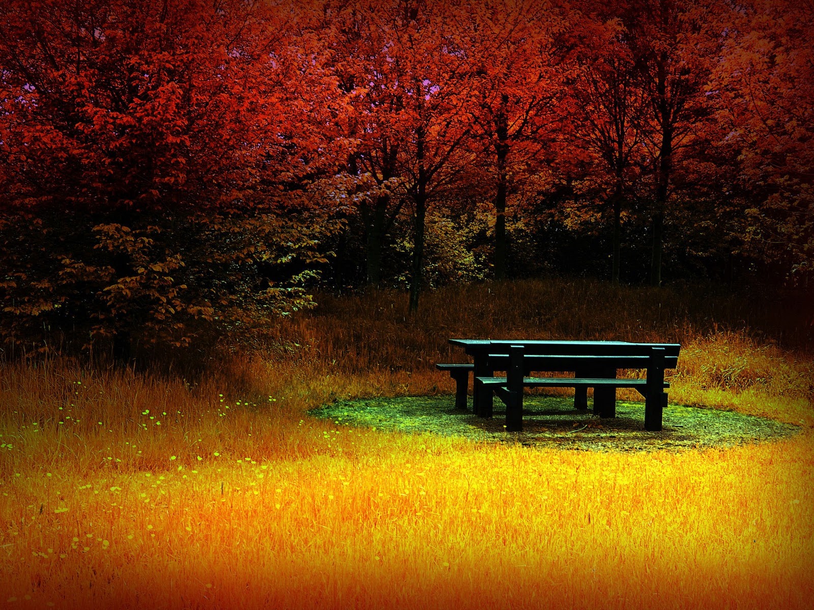 http://2.bp.blogspot.com/-69bP5zu4bmE/UJZlWv4TZSI/AAAAAAAAHpQ/vYxn6ifbvjw/s1600/Autumn+Beautiful+Scene.jpg