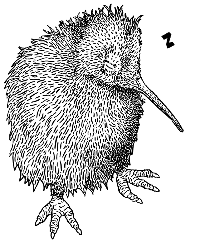 dejting hemsidor design