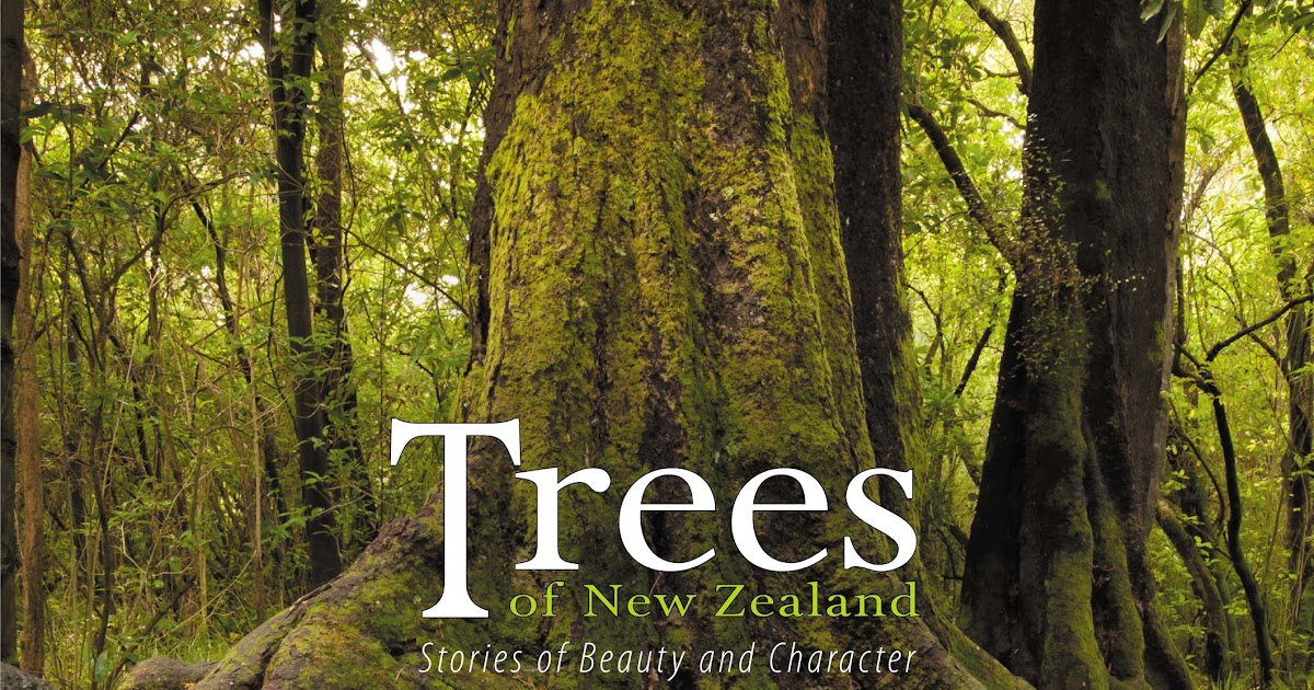 Beattie's Book Blog unofficial homepage of the New Zealand book