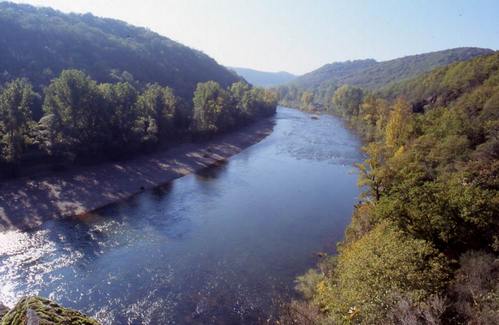 site de rencontre tarn