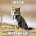 Ylvis | The Fox