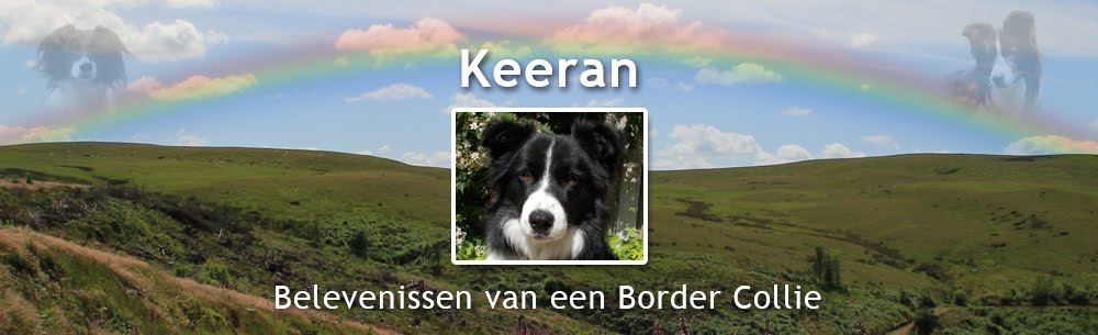 Keeran - Belevenissen van een Border Collie