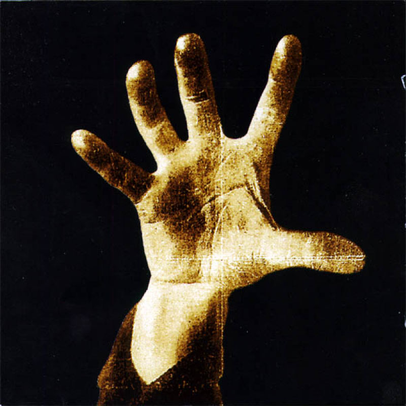 body feminino system of a down
