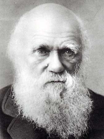 Charles+Robert+Darwin.jpg