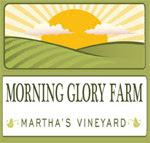 MORNING GLORY FARM