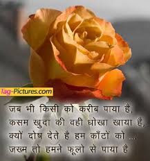 Best Good Afternoon Sms Shayari Status Wishes Quotes Messages Good Afternoon Images Lovewishesshayari Quotesmessage Do Pal