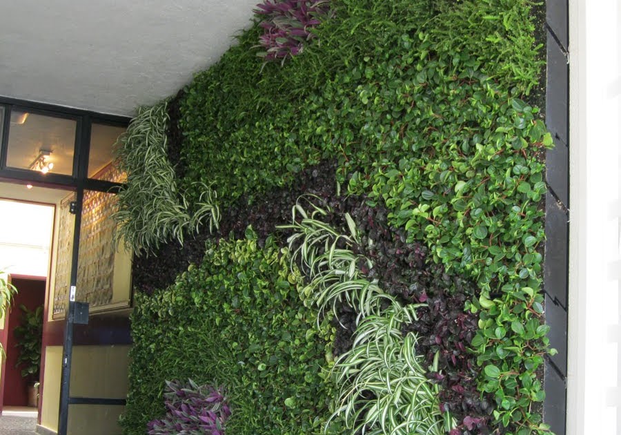 earth friendly landscapes VERTICAL GARDEN INSTALLATION