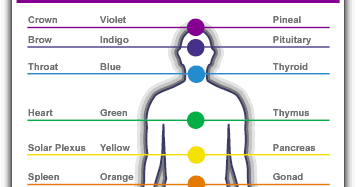 The Pineal Gland | Family Foot Reflexology