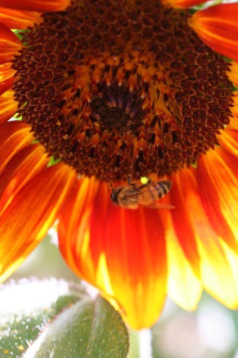 Postcards From Paradise