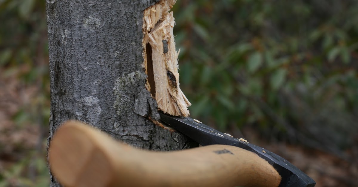 Wood Trekker A Beginner’s Guide to Hatchets (Link)