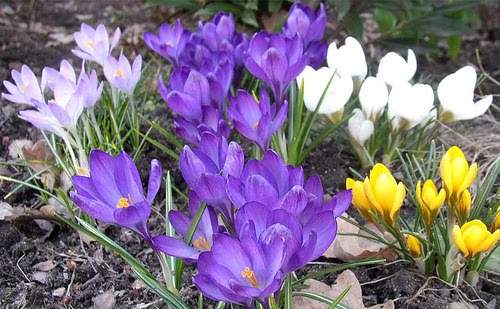 весне все рады!