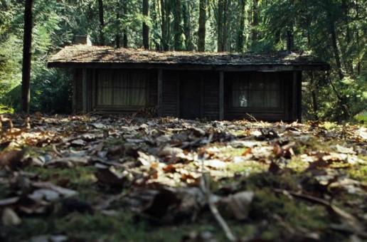 Impressions Of A Movie Buff Horror Movies Will Should Never Be
