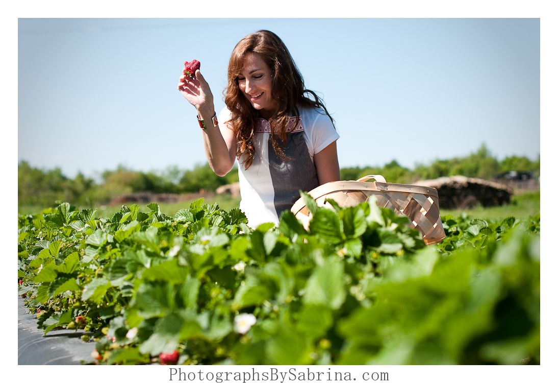 Photographs by Sabrina Lisa of Marvelous Pies