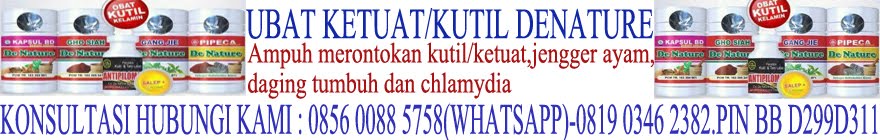 Ubat ketuat di kemaluan