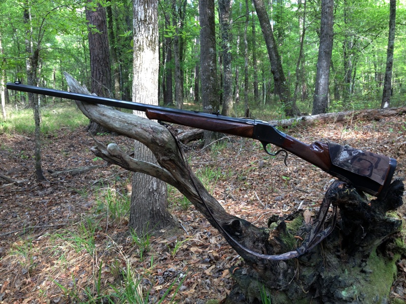 NationalForestHunter Hunting the Sam Houston National Forest 1998