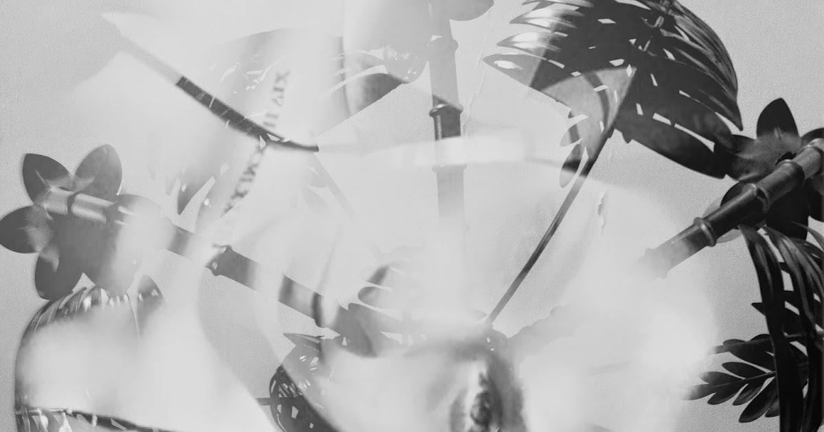 BLACK DIARY VOTRIENT VE BEN