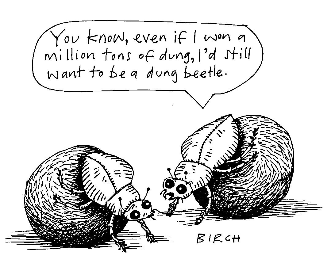 Birch+cartoon+-+Dung+beetles-14.jpg
