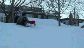 4 These GIFs of dogs playing in the snow will make you like snow again