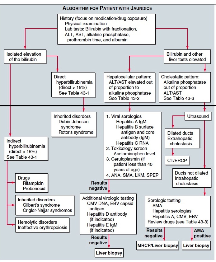 tatsnotes. TBL Jaundice and Hepatitis