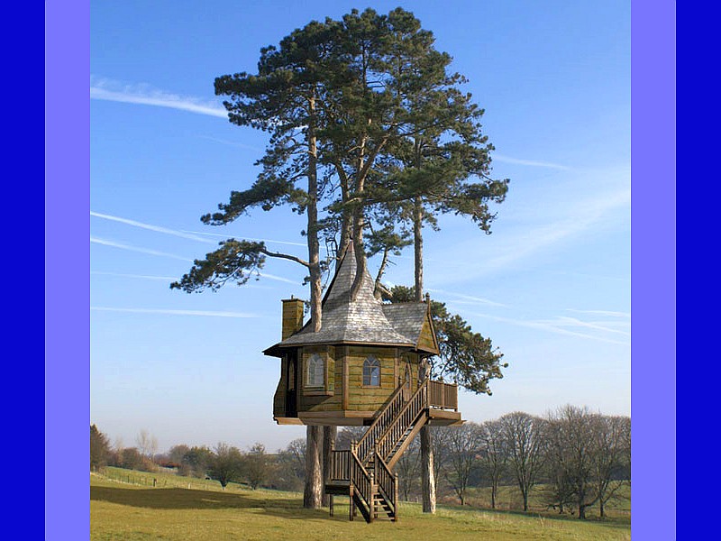 Top 20 Beautiful And Amazing Tree House Wallpapers,Pics