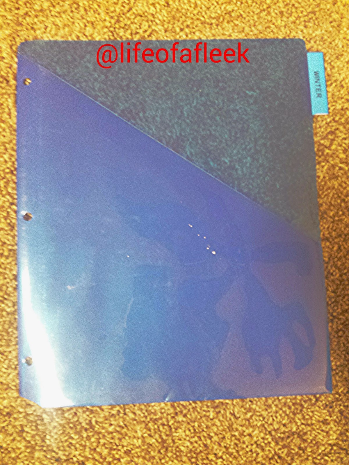 Life of a Fleek Sticker Binder