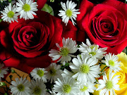 si potrebbero scrivere tante parole sui fiori e tutte farebbero rima con te. (fiori)