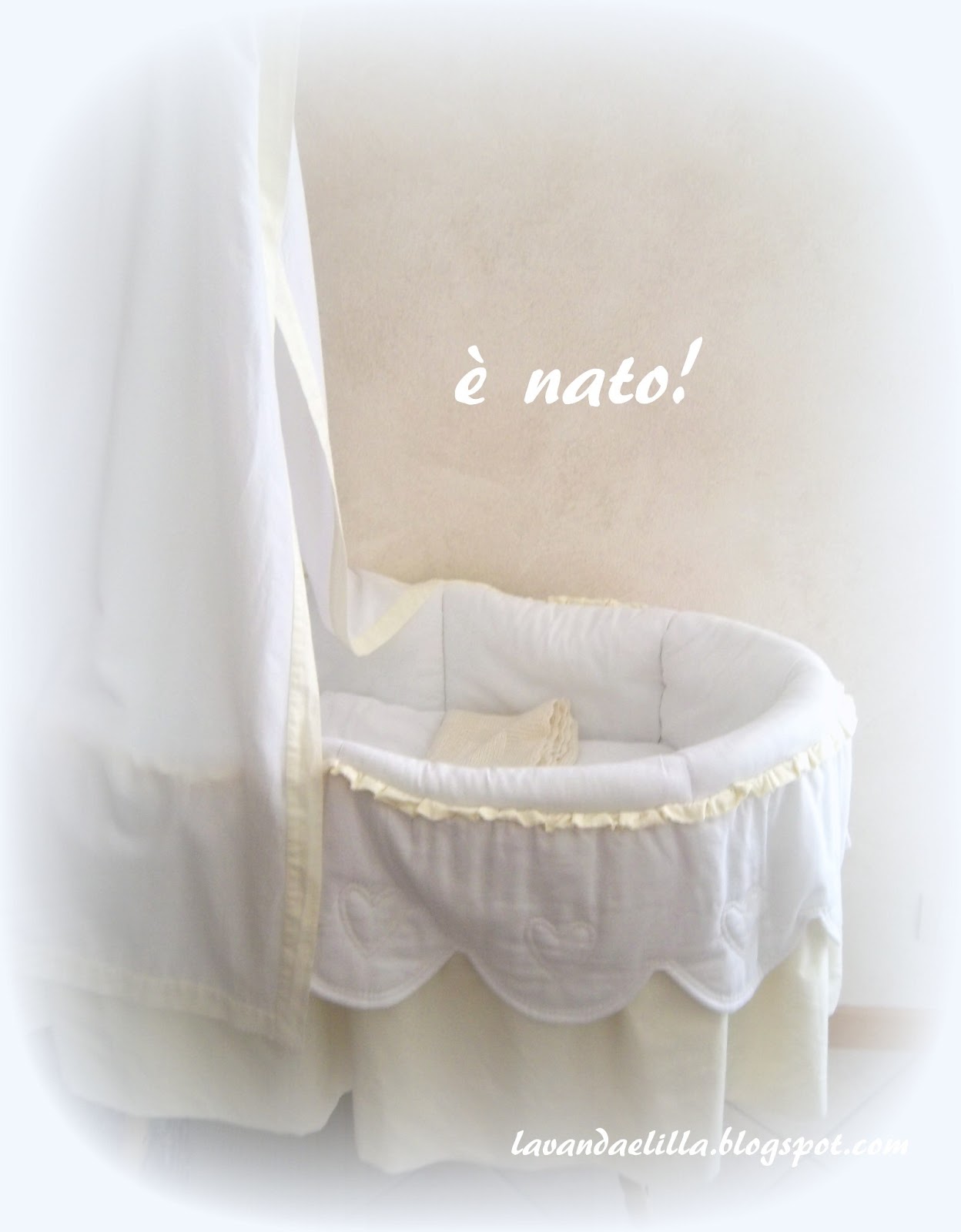 Lavanda E Lilla E Nato Gabriele