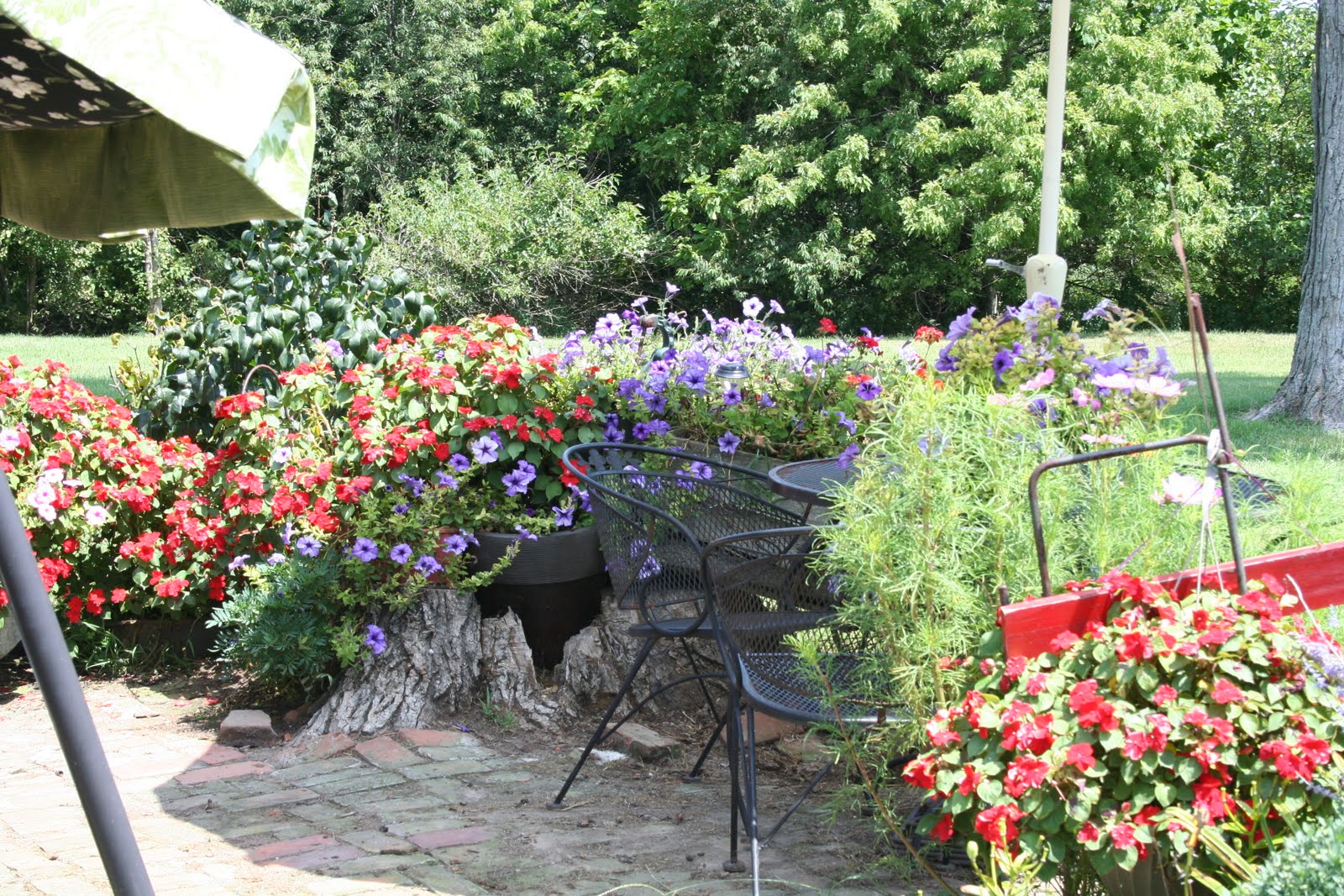 Quaker Hill Farm The summer Garden