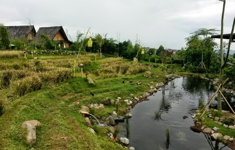 Penginapan Dusun Bambu, Belajar Lebih Dekat Dengan Alam