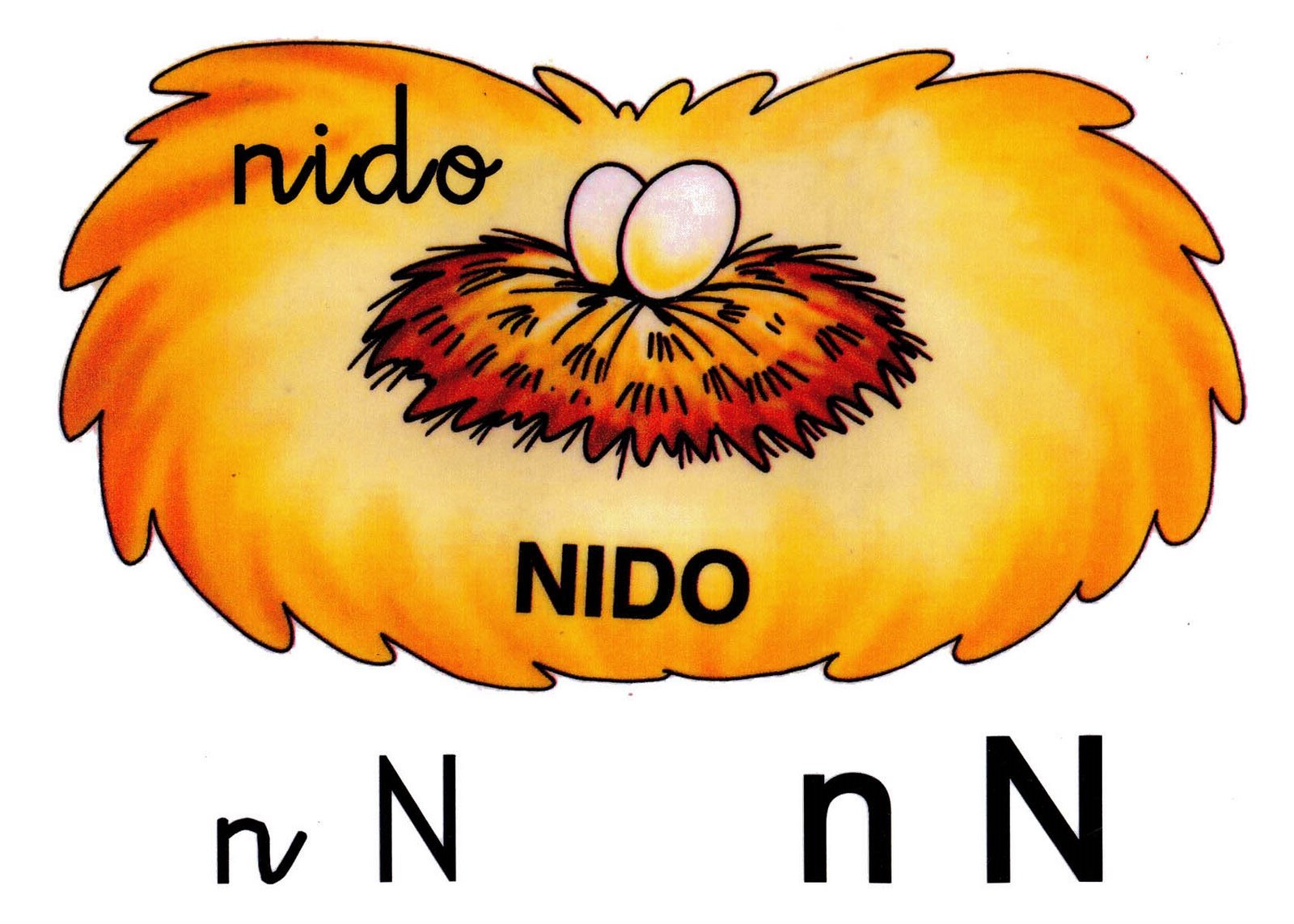 Animales+Con+La+Letra+N Animales Con La Letra N http://elpupitredellanos.blogspot.com/2011/02 ...