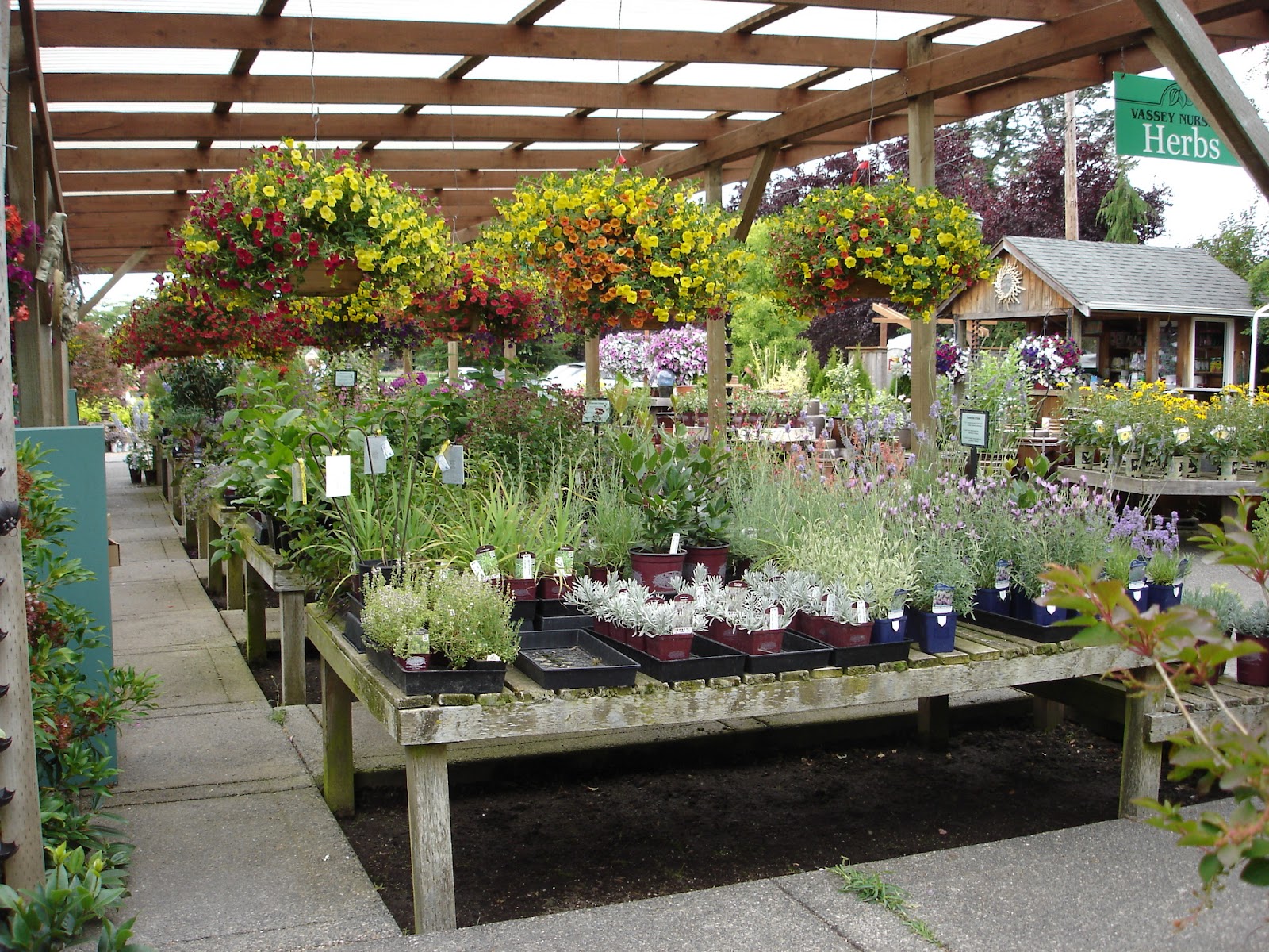 The Outlaw Gardener Vassey Nursery A family affair