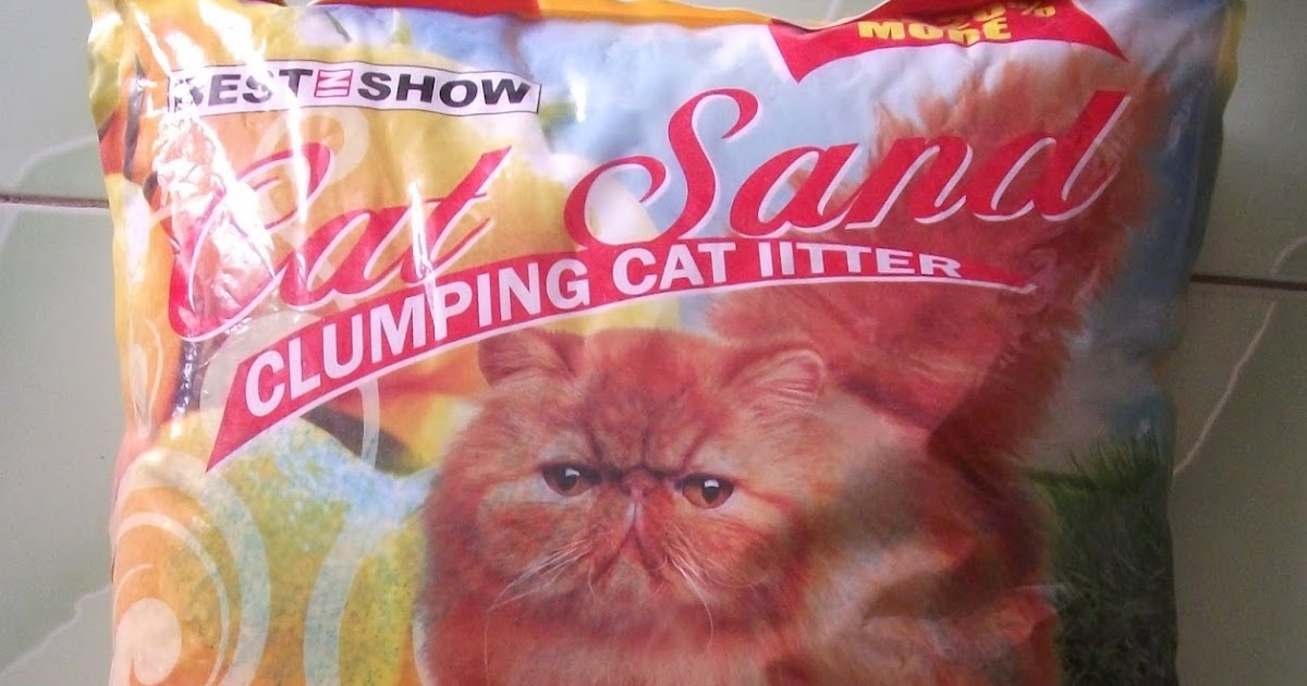 manfaat pasir zeolit kucing manfaat pasir zeolit kucing