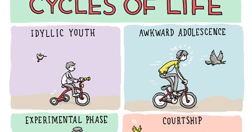 Cycles of Life