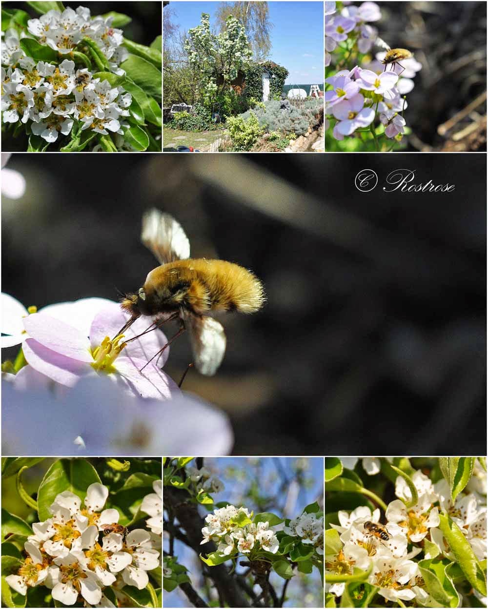 Reinhard W Gross Fotofreak Mittelalterfest Auf Schloss