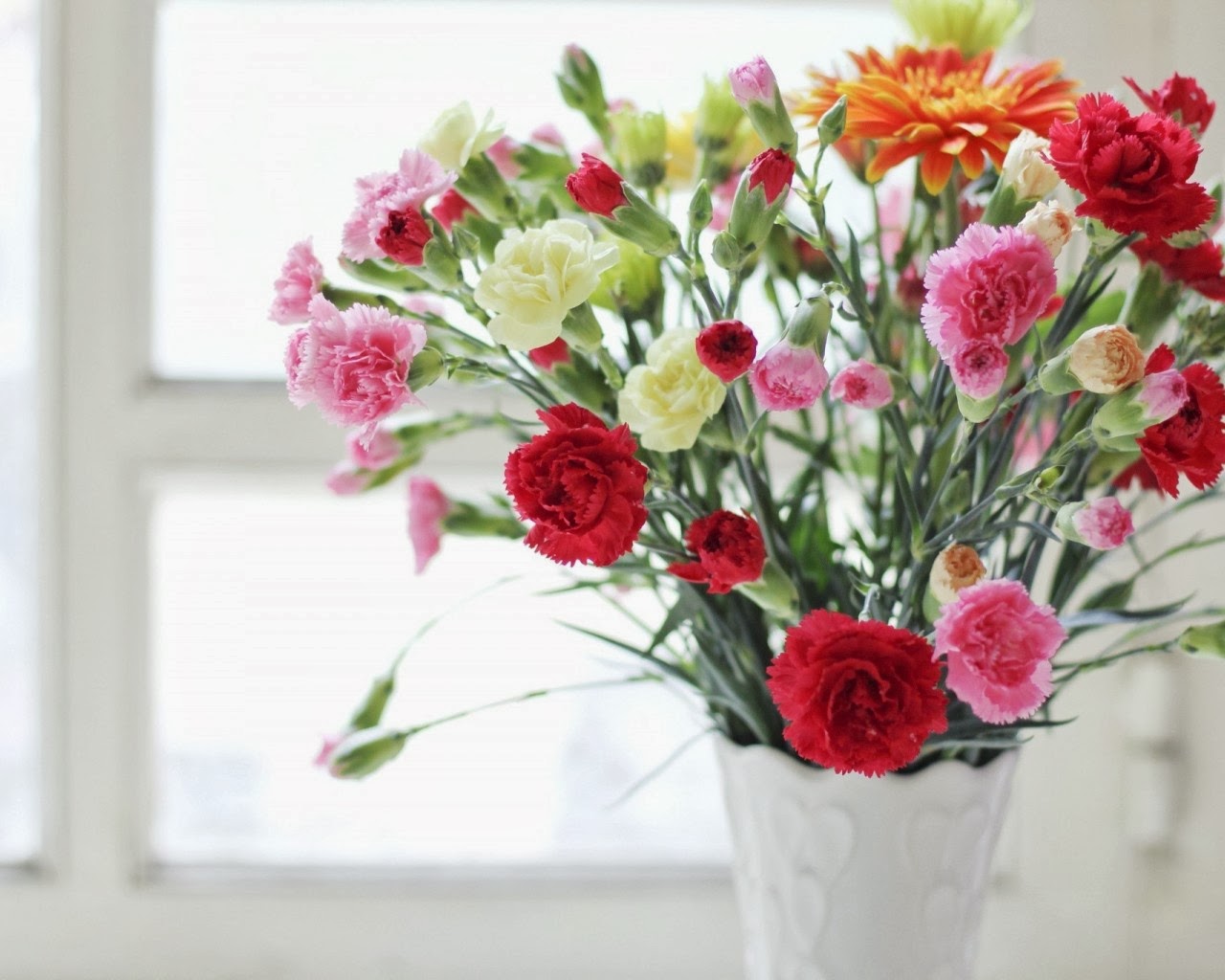 خلفيات ورود جميلة 2018 بجوده عاليه Beautiful Flowers Wallpaper 2018 Hd