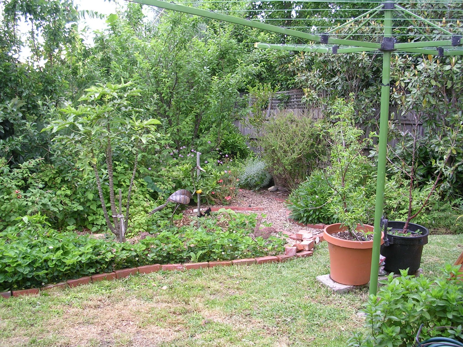 Pragmatic Sustainability Making a nodig garden bed