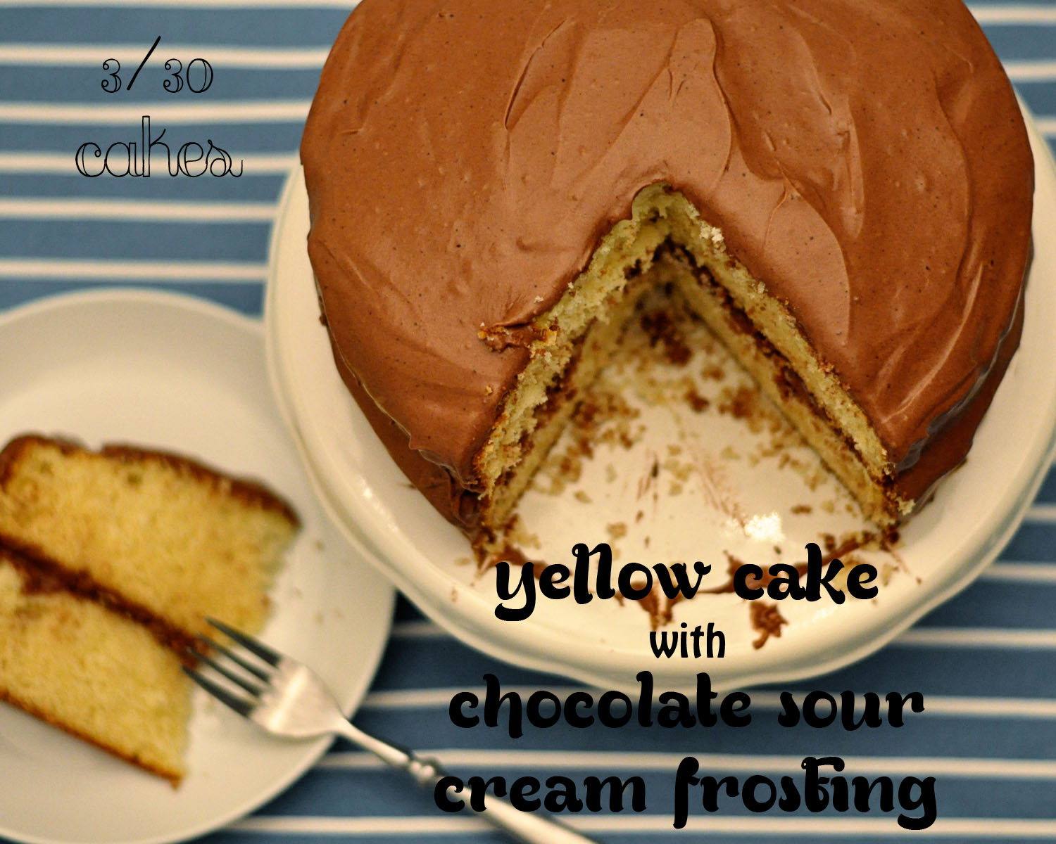 Cake 3 Yellow Cake w/ Chocolate Sour Cream Frosting Real life, on