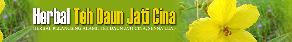 Daun Jati Cina Surabaya | Teh Pelangsing Alami