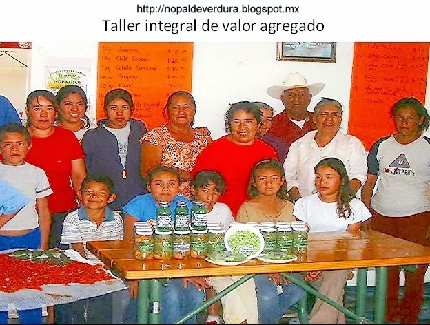 http://nopaldeverdura.blogspot.mx