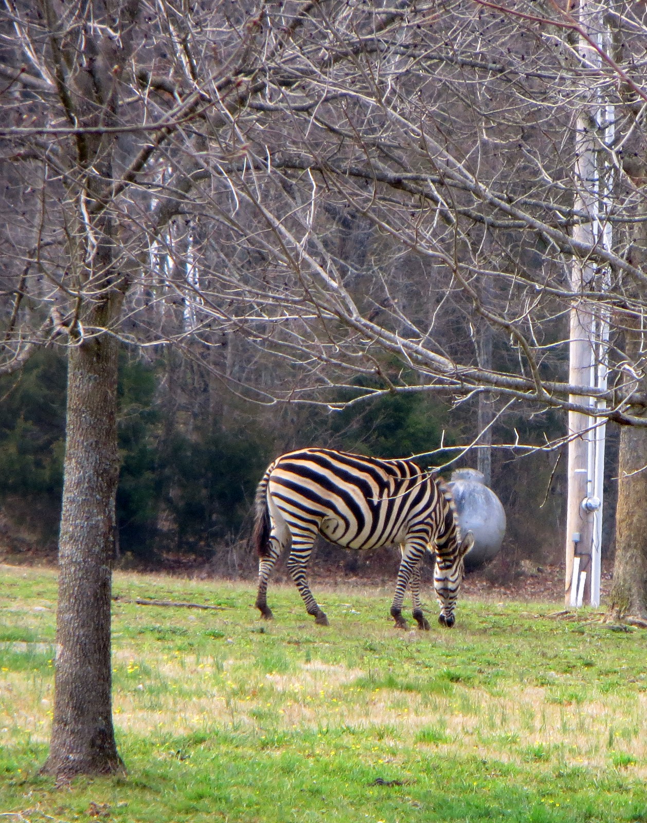 The Daily Rant March 2013