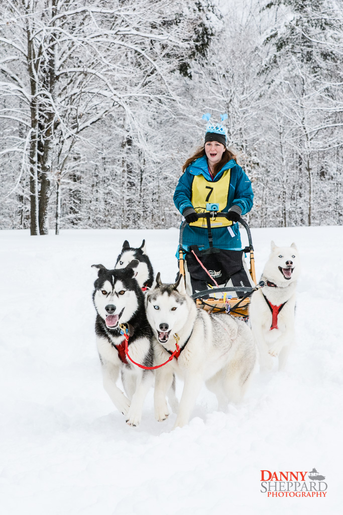 Marmora SnoFest Dogsled Races Marmora SnoFest Dogsled Races