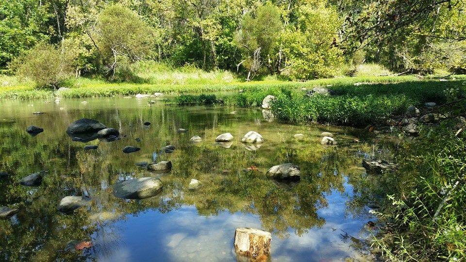 Phreedom Phormula Today in Battelle Darby Creek Metro Park (Galloway