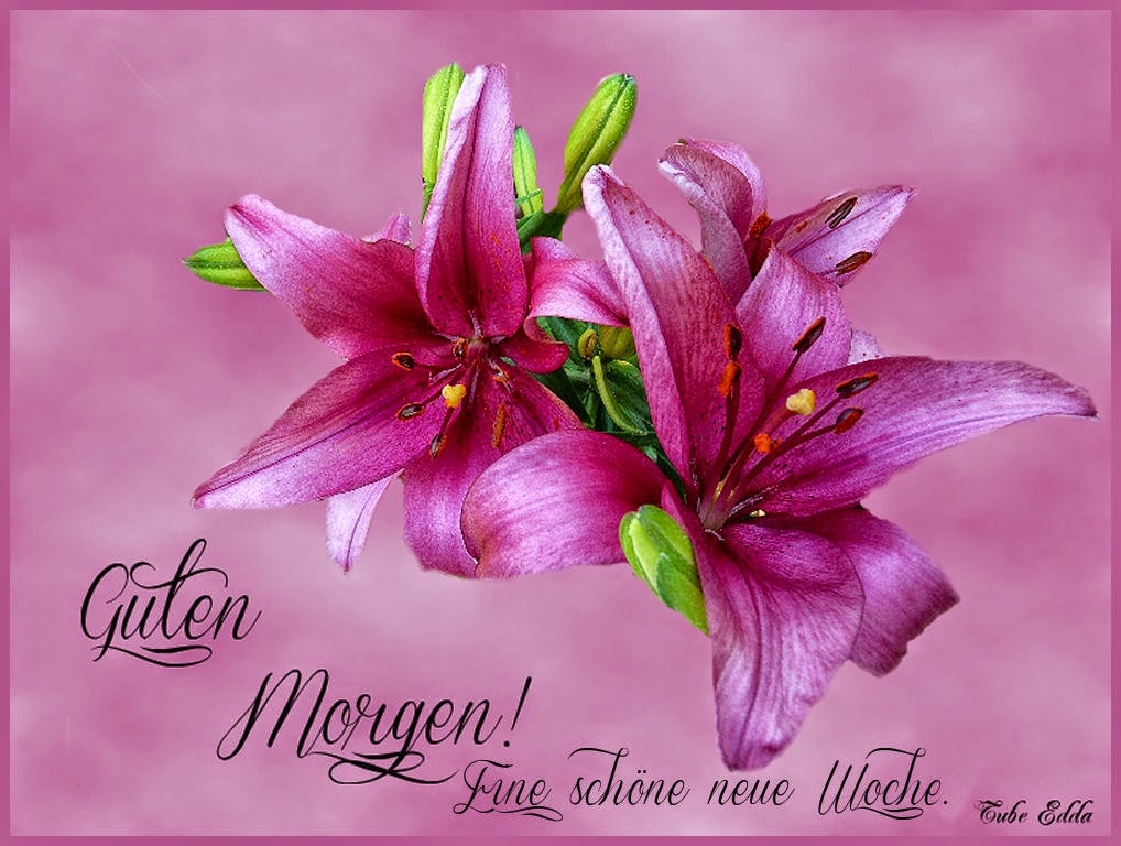 Guten Morgen Schone Neue Woche Witzige Guten