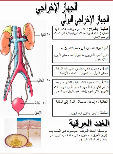الاخراج