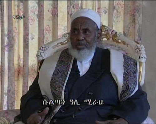 The Afar