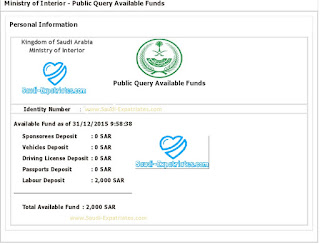 Saudi Expatriates
